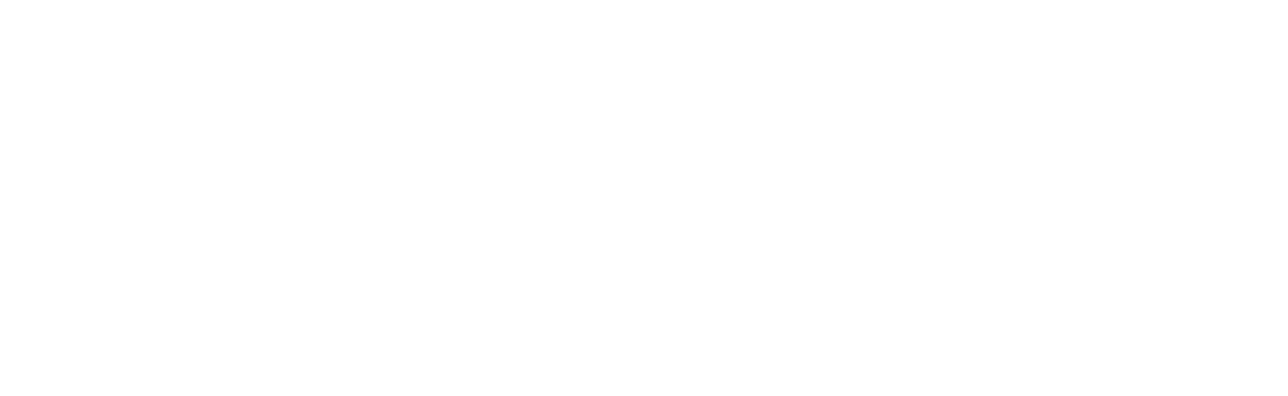 The Laurus School